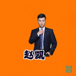 赵凯